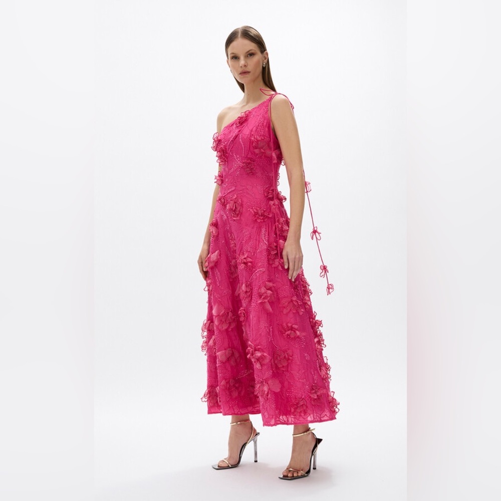 Rachel Gilbert New Ianthe Dress Floral Pink Size 4